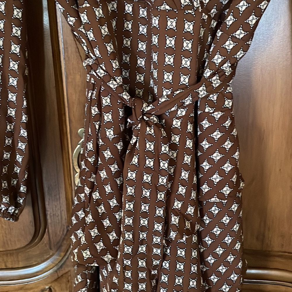EXPRESS BROWN BEIGE DRESS WITH TIE WAIST LONG SLEEVE WORN ONCE SMALL EXCELLENT - Picture 3 of 6